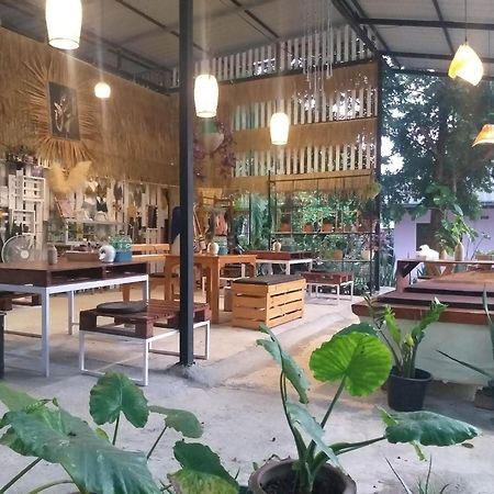 Tropical Home Koh Phangan 통살라 외부 사진